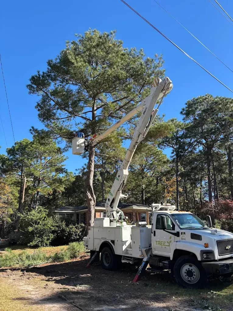 Completed tree removal and landscaping projects by DuVall Tree Service in Columbia SC