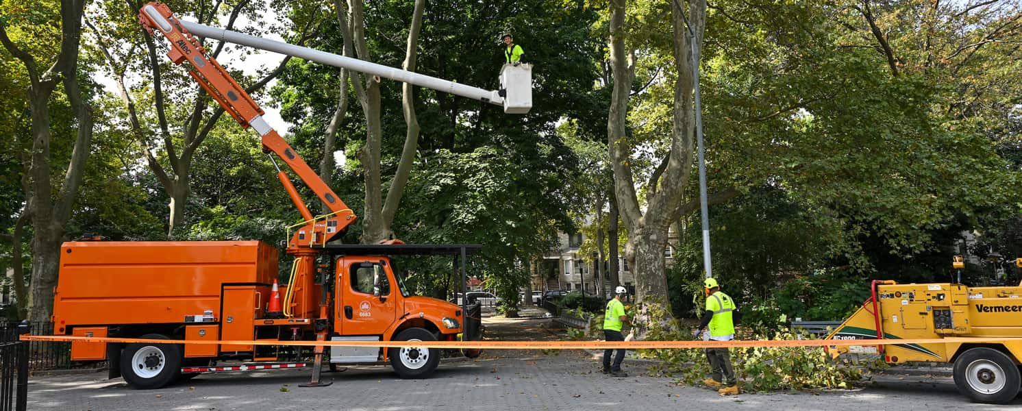 Debris removal service
