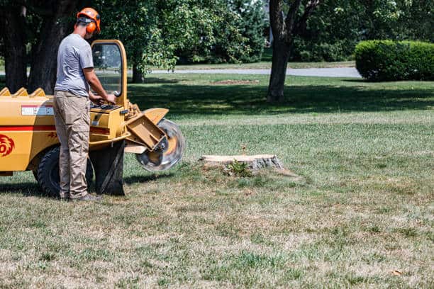 Stump grinding and land clearing